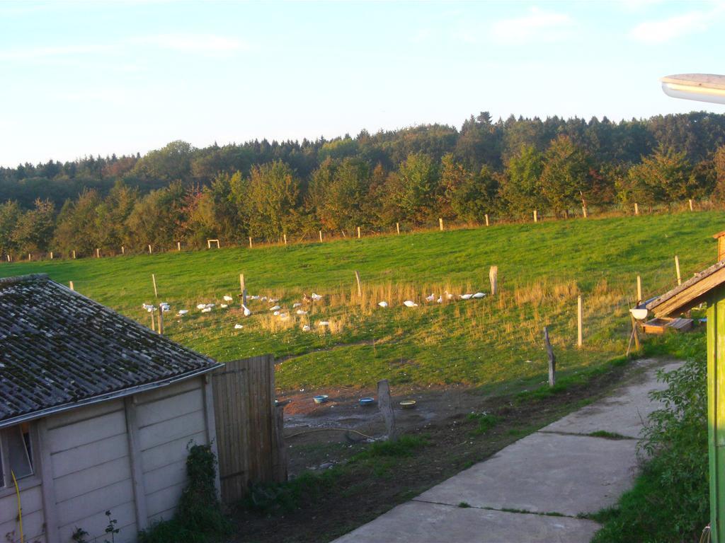 Hof Beuck Appartement Travenhorst Buitenkant foto